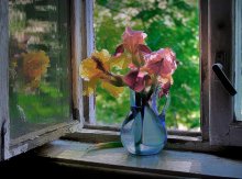Morgen mit Iris / ***