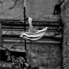 "Gefangene" / ***