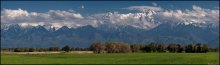 Sommer-Panorama von Trans-Ili Alatau / ----------