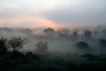 Tal Morgen Protych. / ***