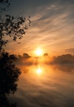 Dawn on Hemp / ***