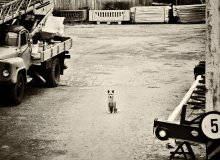 Leiter der Transport-Abteilung / ........