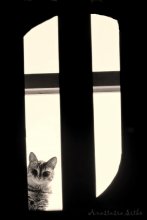  / ...