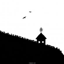 阴阳 / *****