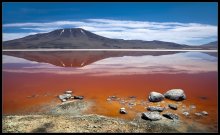 Laguna Colorada. / ***