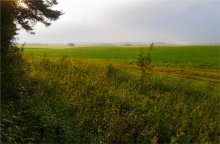 Nach dem Regen / *****