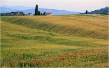Toskana. Pienza. / ***