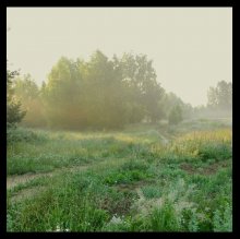 Morgen / ***