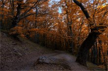 Paths Dimerdzhi / ***