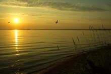 Dawn of Schwalben / ***