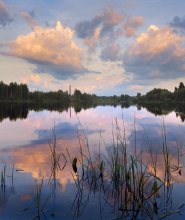 Gebadet Wolken ... / ***