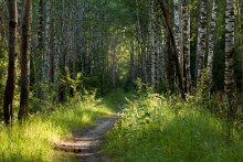 Fußweg / ***