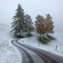 Der erste Schnee / ***