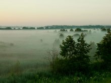 Am Morgen / ***