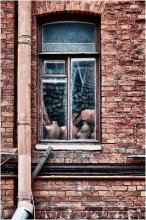 Fenster / ***