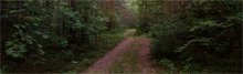 Wald / ***