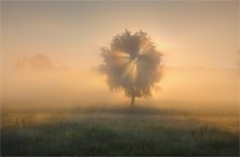 Die meisten Guten Morgen! / ***