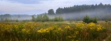 Es ist Zeit, gelbe Blüte. / ***