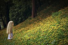 "Little Suns" / ***