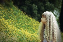 Little Suns / ***