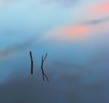 Liquid Sky / ***