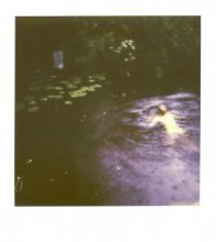 Polaroid / ***