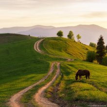 Abend / ***