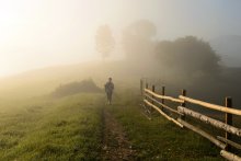 Fotografen ging aus dem Nebel ... / ,,,,,,,,,,,,,,,,,,,,,