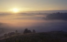In einem Land der Nebel / *****
