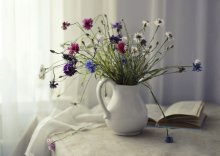 Kornblume ... / ........................