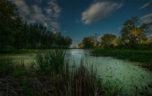 @ Petrie Isl / @ Petrie Isl