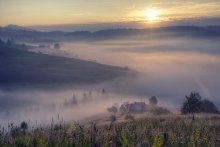 In einem Land der Nebel 2 / *****