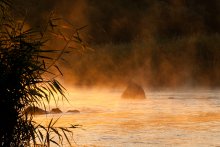 Golden Stream Gipanisa. / ***