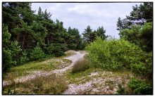 Straße zum Meer / ***