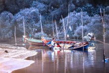 Winter-Thailand / ***