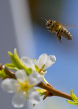 Bei der Arbeit / ***