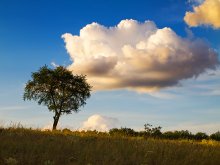 Über den Wolken ... / .......