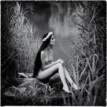  / film 120