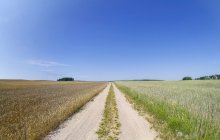 Eine Straße / ***