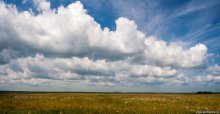 Der erste Tag des Monats August / ***