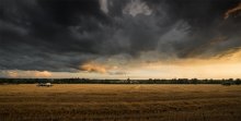 ...already harvest time / ...already harvest time