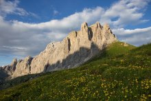 Die Berge noch springen / ***