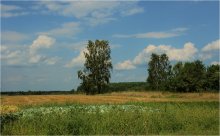 Berkovskiy NEIGHBORHOOD ... / ***