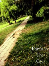 Wald in der Stadt / ***