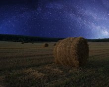 Starbow / ***