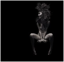 Sprang-Galopp / ***