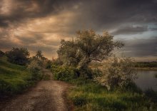 Road to sunset ... / ***