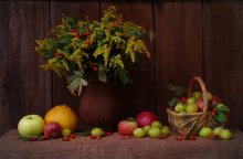 Autumn Gaben der Natur / ***