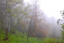 Auflösen im Nebel ... / ***