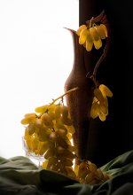 Wine gradnoe Stimmung .. / ***